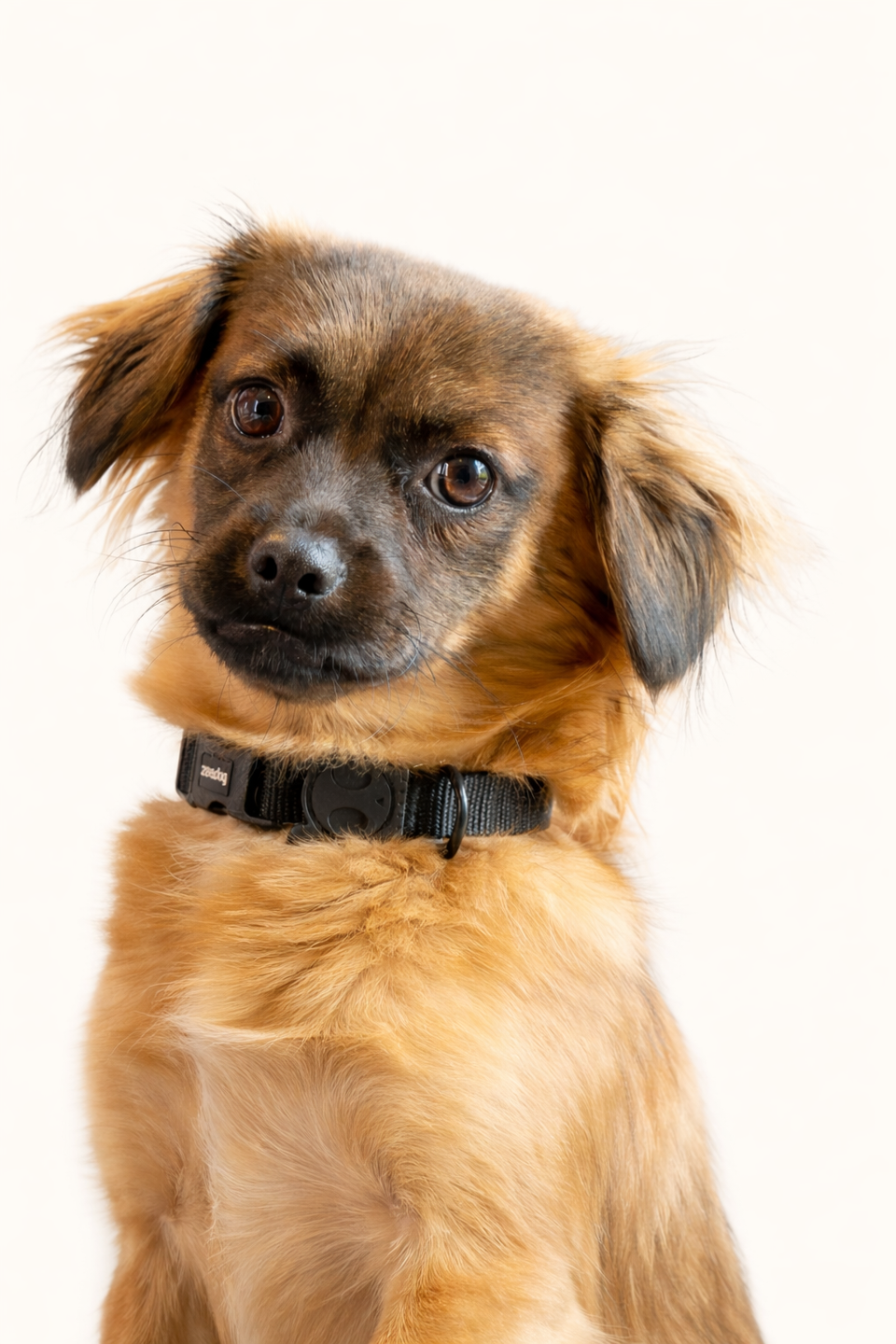 Mila team allround support